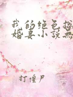 我的绝色总裁未婚妻小说无弹窗
