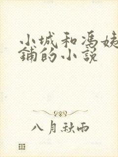 小城和冯姨坐卧铺的小说