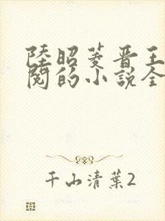 陆昭菱晋王周时阅的小说全文免费阅读