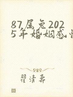 87属兔2025年婚姻感情如何
