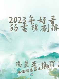 2023年好看的电视剧排行榜前十名