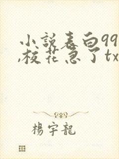 小说表白99次,校花急了txt下载