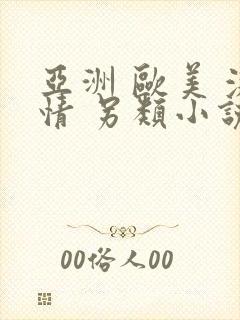 亚洲 欧美 激情 另类小说