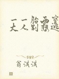 一一胎两宝老婆大人别想逃大结局