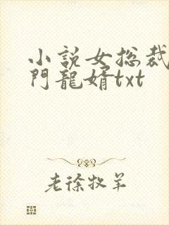 小说女总裁的上门龙婿txt