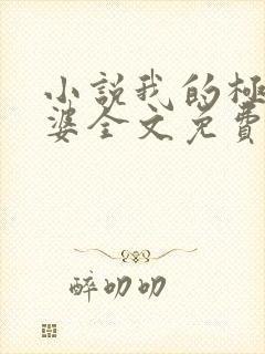 小说我的极品老婆全文免费阅读