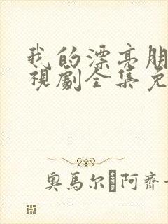 我的漂亮朋友电视剧全集免费观看