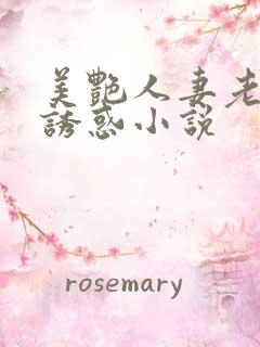 美艳人妻老师的诱惑小说