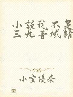 小说我不是戏神三九音域精校版