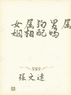 女属狗男属马婚姻相配吗