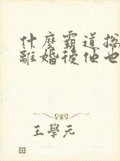 什么霸道总裁,离婚后他也高攀不起我全本