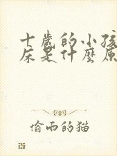 十岁的小孩还尿床是什么原因