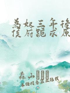 为奴三年后整个侯府跪求原谅免费阅读