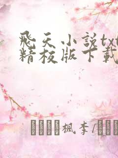 飞天小说txt精校版下载