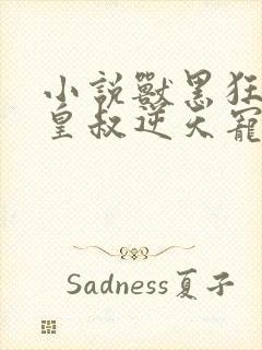 小说兽黑狂妃:皇叔逆天宠txt