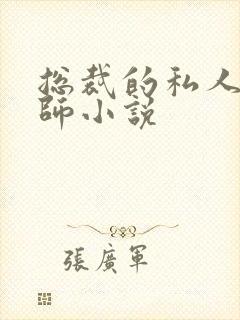 总裁的私人训诫师小说