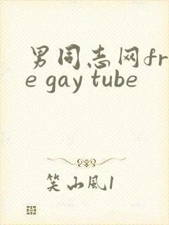 男同志网free gay tube