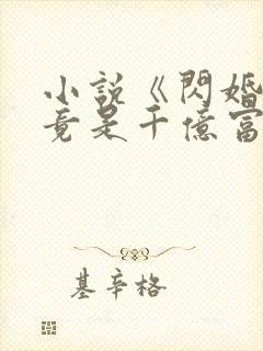 小说《闪婚老公竟是千亿富豪》