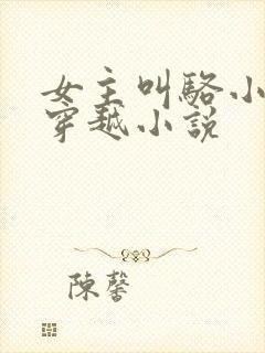 女主叫骆小冰的穿越小说