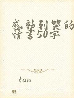 感动到哭的表白情书50字