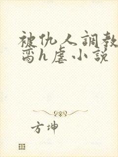 被仇人调教成禁脔h虐小说