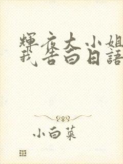 辉夜大小姐想让我告白日语