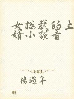 女总裁的上门龙婿小说看