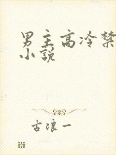 男主高冷禁欲系小说