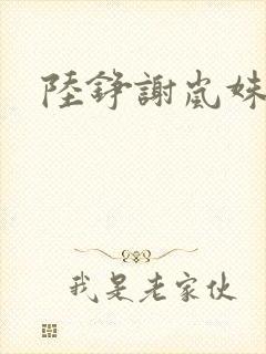 陆铮谢岚姝小说