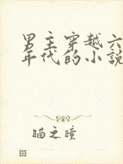 男主穿越六七十年代的小说