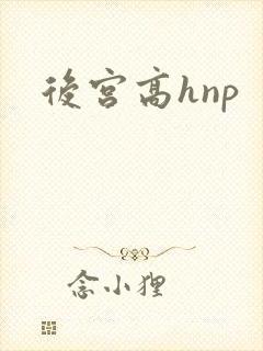 后宫高hnp