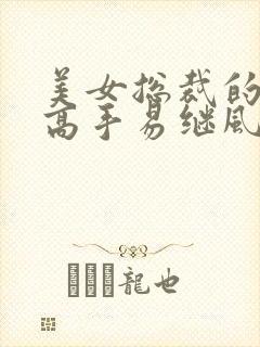 美女总裁的极品高手易继风