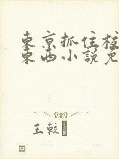 东京抓住校花偷东西小说免费阅读