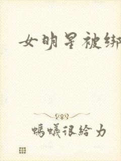 女明星被绑架了