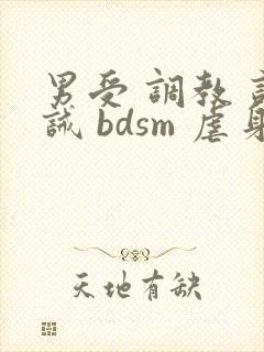 男受 调教 训诫 bdsm 虐身