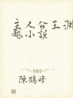 主人公王渊的穿越小说