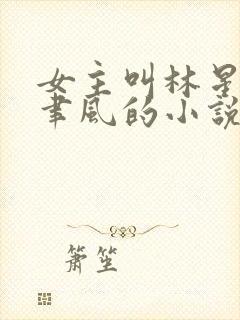 女主叫林星阑闻聿风的小说