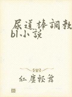 尿道棒调教smbl小说