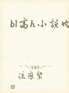 bl高h小说肉