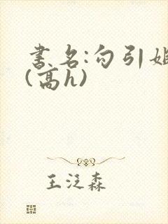 书名:勾引姐夫(高h)