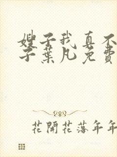 嫂子我真不是傻子叶凡免费下载