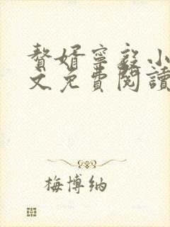 赘婿宁毅小说全文免费阅读