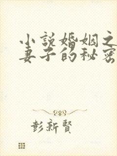 小说婚姻之殇:妻子的秘密免费阅读
