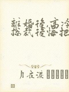 离婚后,高冷女总裁后悔把