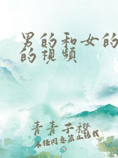 男的和女的亲嘴的视频