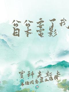 公公要了我一晚日本电影
