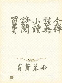 罗铮小说全文免费阅读无弹窗