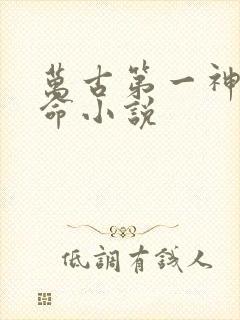 万古第一神李天命小说