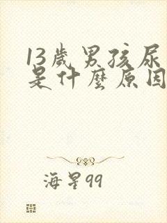 13岁男孩尿床是什么原因