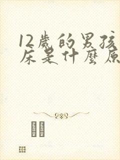 12岁的男孩尿床是什么原因